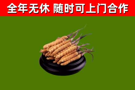 嘉义市烟酒回收冬虫夏草.jpg